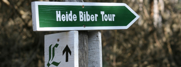 (C) Naturpark Dübener Heide / Janine Meißner