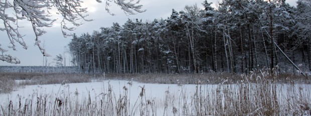 (C) Naturpark Dübener Heide
