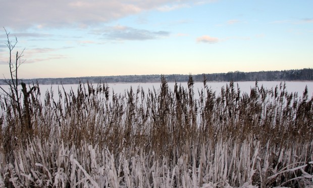 (C) Naturpark Dübener Heide