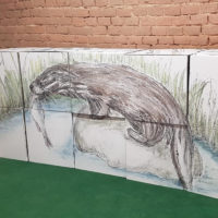 Neue Ausstellung: "Perspektivwechsel - Natur(a) 2000 erleben vor deiner Haustür" im NaturparkHaus