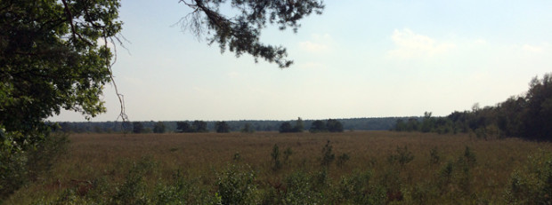 (C) Naturpark Dübener Heide