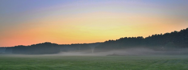 (C) Naturpark Dübener Heide