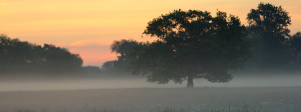 Copyright: VDN/Susanne Meier