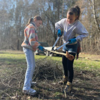 Aktionstag: Naturparkschülerinnen und -schüler sammeln Weidenreiser für Osternester