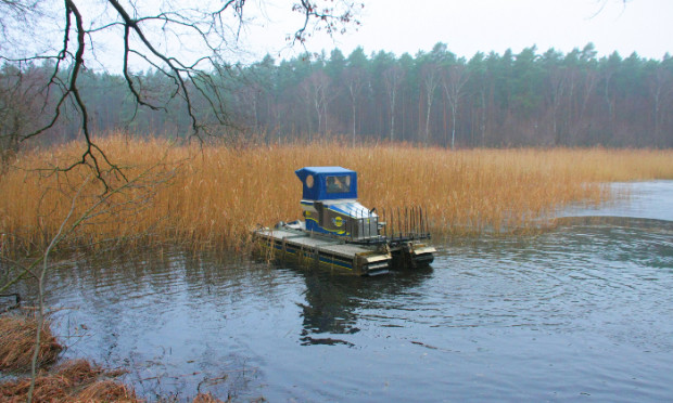 Schilfmahd im Heideteich (C) Naturpark Dübener Heide