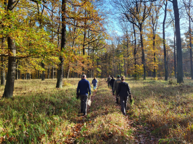 Im Einsatz für den Heidewald (C) Naturpark Dübener Heide