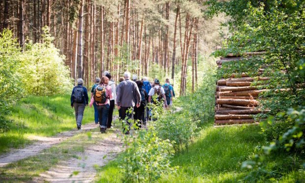 Wandergruppe in der Dübener Heide (C) Anika Dollmeyer