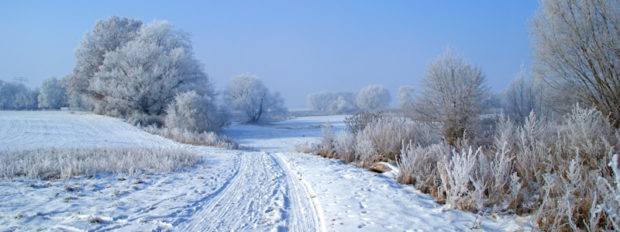 Winterlandschaft bei Bad Düben (C) Rainer Gottwald