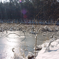 Blick auf den Zadlitzbruch im Winter (C) Naturpark Dübener Heide
