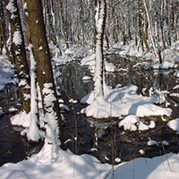 Zadlitzbruch Winter (C) VDH