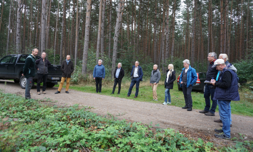 Umweltminister Wolfram Günther und Vertreter der drei sächsischen Naturparke nehmen den HeideWald unter die Lupe (C) Verein Dübener Heide