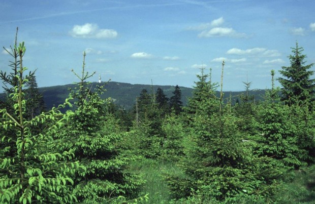 Blick vom Ochsenkopf zum Schneeberg