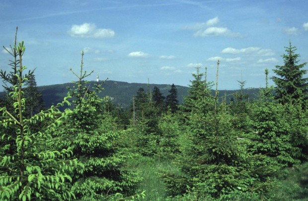 6 Meier Blick vom Ochsenkopf zum Schneeberg