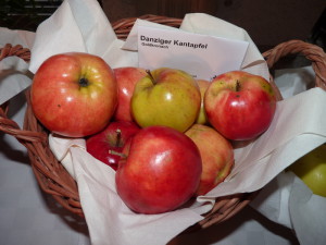 Apfel Danziger Kantapfel_ESchörner (221)