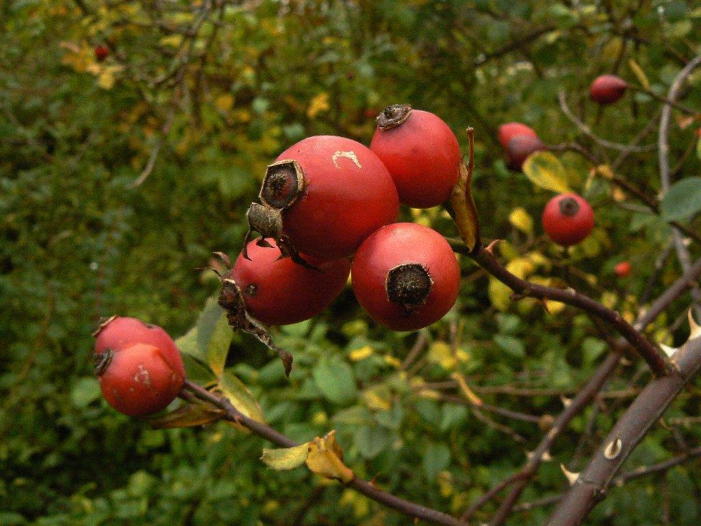 Farben kennenlernen