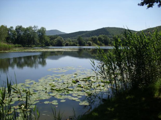 Bruchteiche (c) Geo-Naturpark Frau-Holle-Land