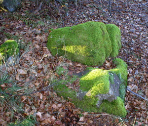 Frau-Holle-Stuhl (c) Geo-Naturpark Frau-Holle-Land