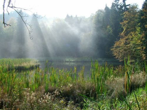 Frau Holle Teich im Nebel c Marco Lenarduzzi Frau Holle Teich im Nebel c Marco Lenarduzzi Denk Pfad® Frau Holle