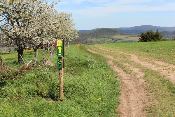 KWW 4 und P25 KWW 4 und P25 Deutschlands Schönster Wanderweg 2022
