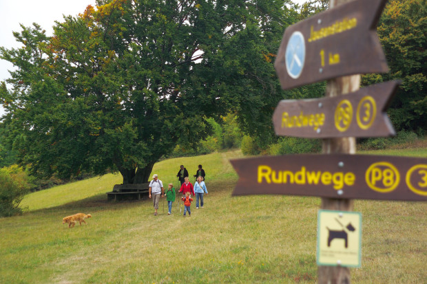 Wegweiser P8 mit Wanderern kleincAtelier Blume Waldkappel 620x413 Wanderung auf dem Premiumweg P8 Bühlchen, Heiligenberg