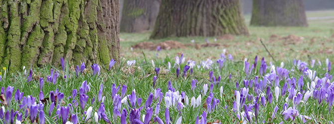  Naturpark Habichtswald