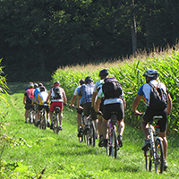 Naturpark Habichtswald 2019 Pixabay Mtb Gruppe Mountainbike Saison eröffnet   Geführte MTB Erlebnistouren im Naturpark Habichtswald