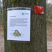 Naturpark Habichtswald_2020_Jürgen Depenbrock_Goddelbusch
