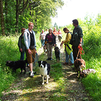 Naturpark Habichtswald Hundewanderung UHartmann Wandern mit dem besten Freund des Menschen