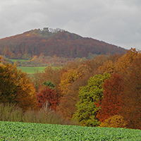 Naturpark Habichtswald_Krackrügge_Weidelsberg Herbst
