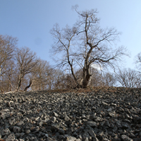 Naturpark Habichtswald_LKarner_Blaue Steine