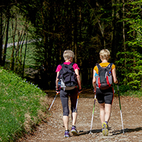 Naturpark Habichtswald Pixabay NordicWalking Fit in den Wald – erholt nach Hause