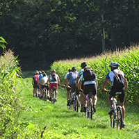 Naturpark Habichtswald Pixabay Radtour MTB Angebot   601 Meter über Null