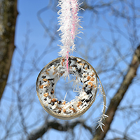 Naturpark Habichtswald Pixabay Vogelfutter Meisenknödel und Futterglocken – Wir stellen Futter für Vögel her