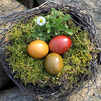 Osternester aus Naturmaterialien basteln - Naturpark Habichtswald