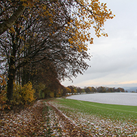 Naturpark Habichtswald_VDN_Brezina Peter_Winterlich