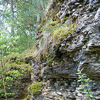 Naturpark Hbichtswald_Annika Ludolph_Gestein Dörnberg