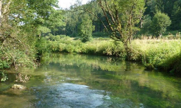 Das Vilstal vom Wasser  aus (c) Naturpark Hirschwald