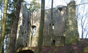 Ruine Roßstein (c) Naturpark Hirschwald