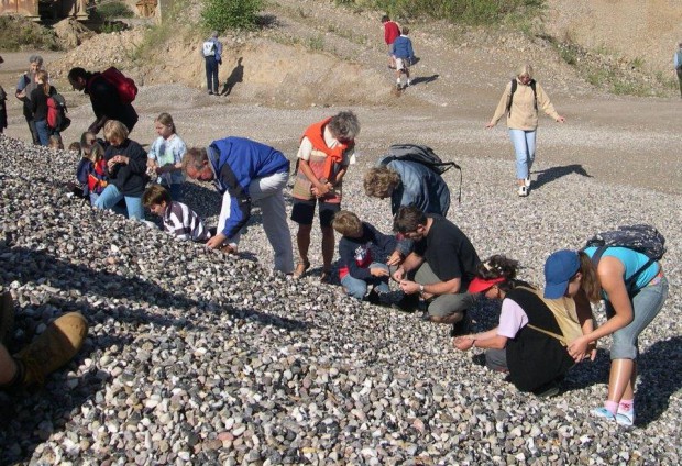 Fossilien sammeln 620x424 Fossilien sammeln bei Malente