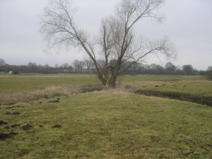 geplanter Sitzplatz 2011