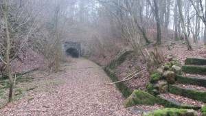 Tunnel Volkmarshausen im Naturpark Münden (c) Thomas Tölle