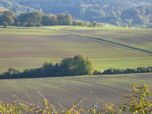 Landwirtschaft im Naturpark (c) Sibylle Susat