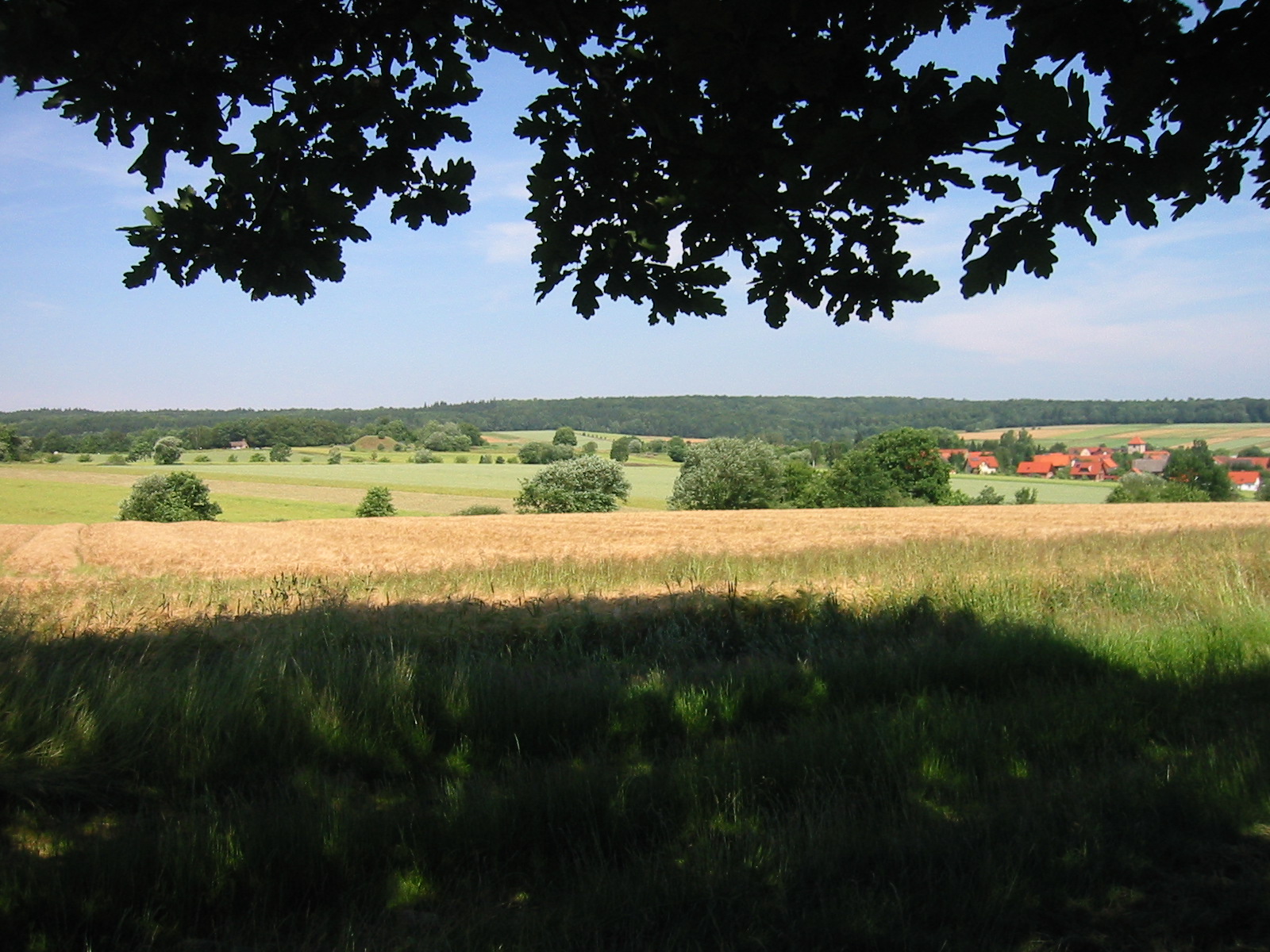 Landwirtschaft im Naturpark