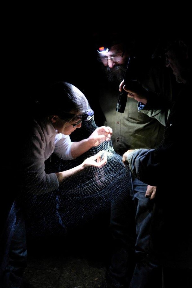 20190716-Netzfang_RalfChristina