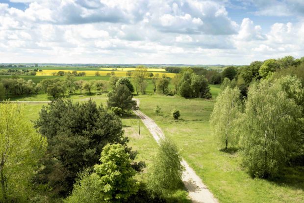 Foto mit Blick vom Aussichtsturm Hellberg.