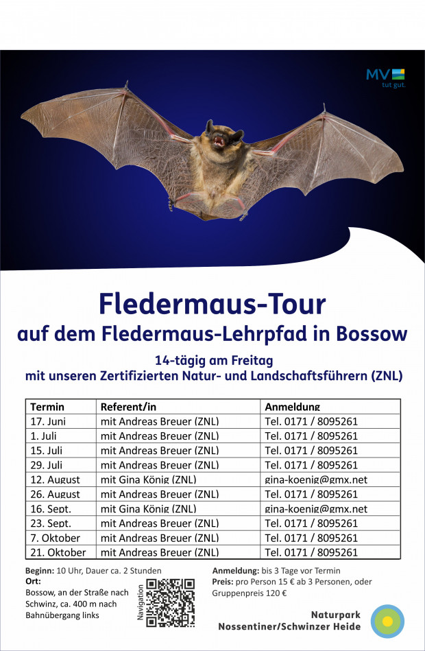 Fledermaus-Touren_2022