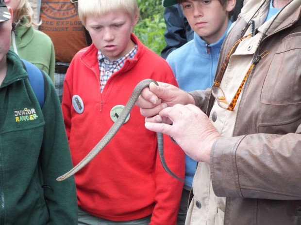 Juniorrangertreffen2017_2