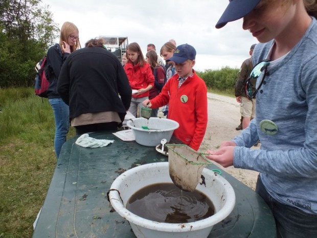 Juniorrangertreffen2017_4