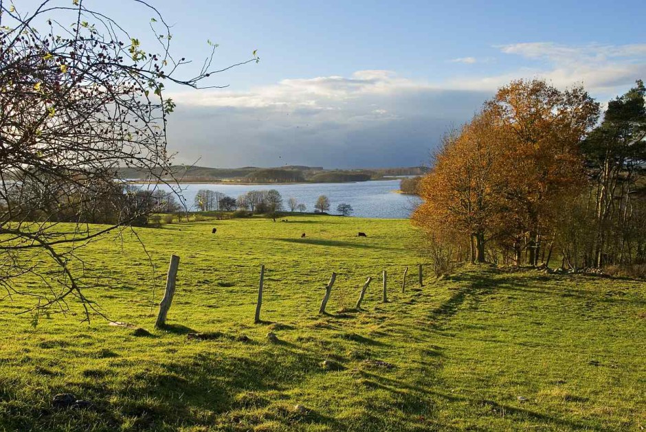 Koppelblick-(c) VDNFrank Eilrich- NossentinerSchwinzer Heide