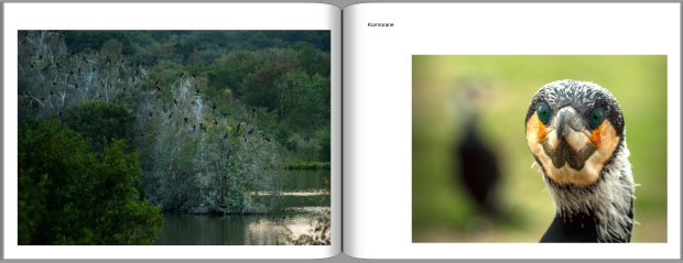 PDF-Buch-Entwurf-Ansichtsexemplar 30 Jahre Naturpark_page23_image18